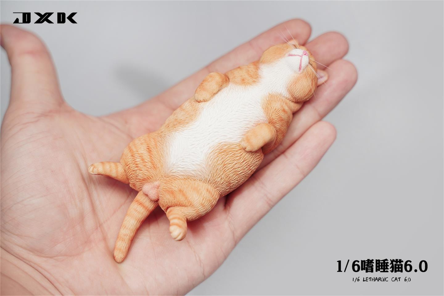 Sleepy cat 6.0 (JXK170) 1/6