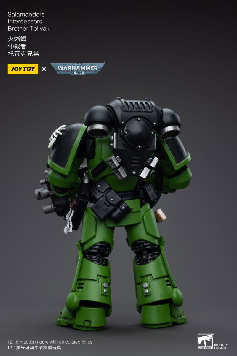 Salamanders Intercessors