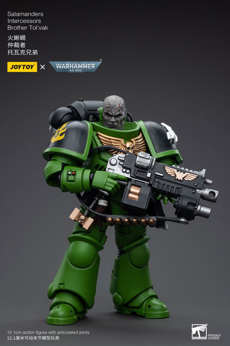 Salamanders Intercessors