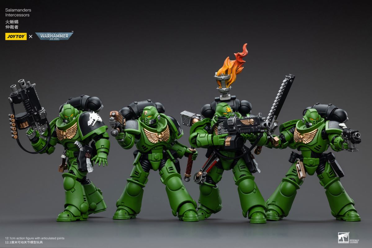Salamanders Intercessors