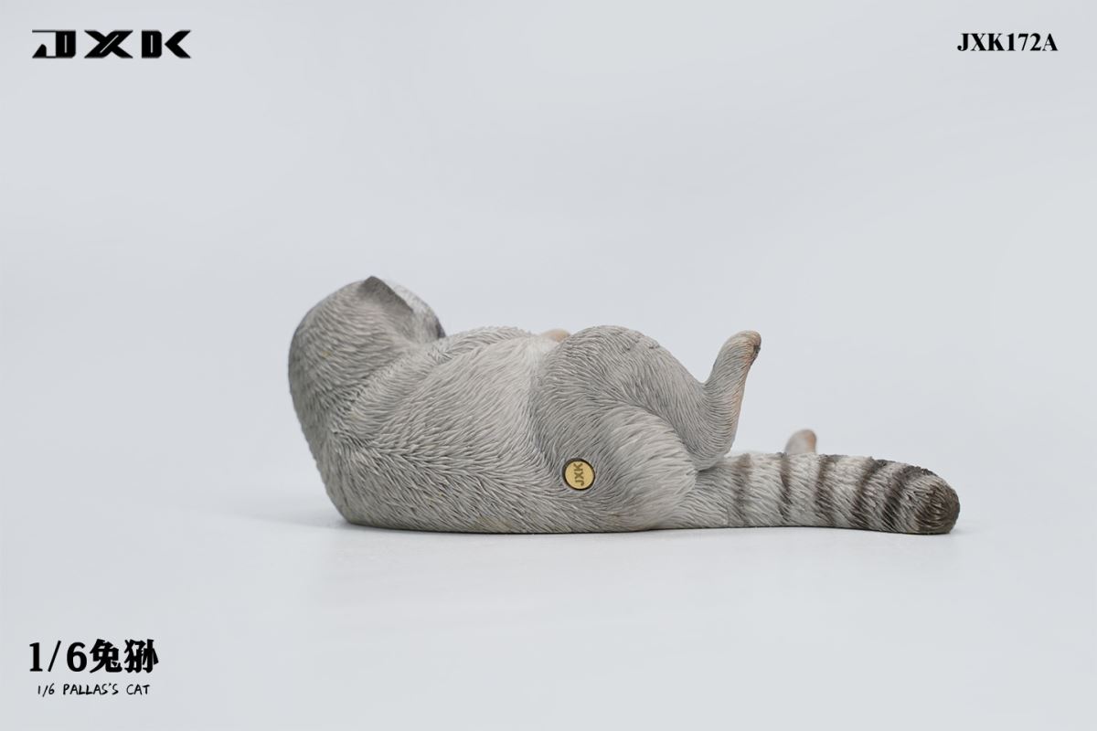 Pallas's Cat 1/6