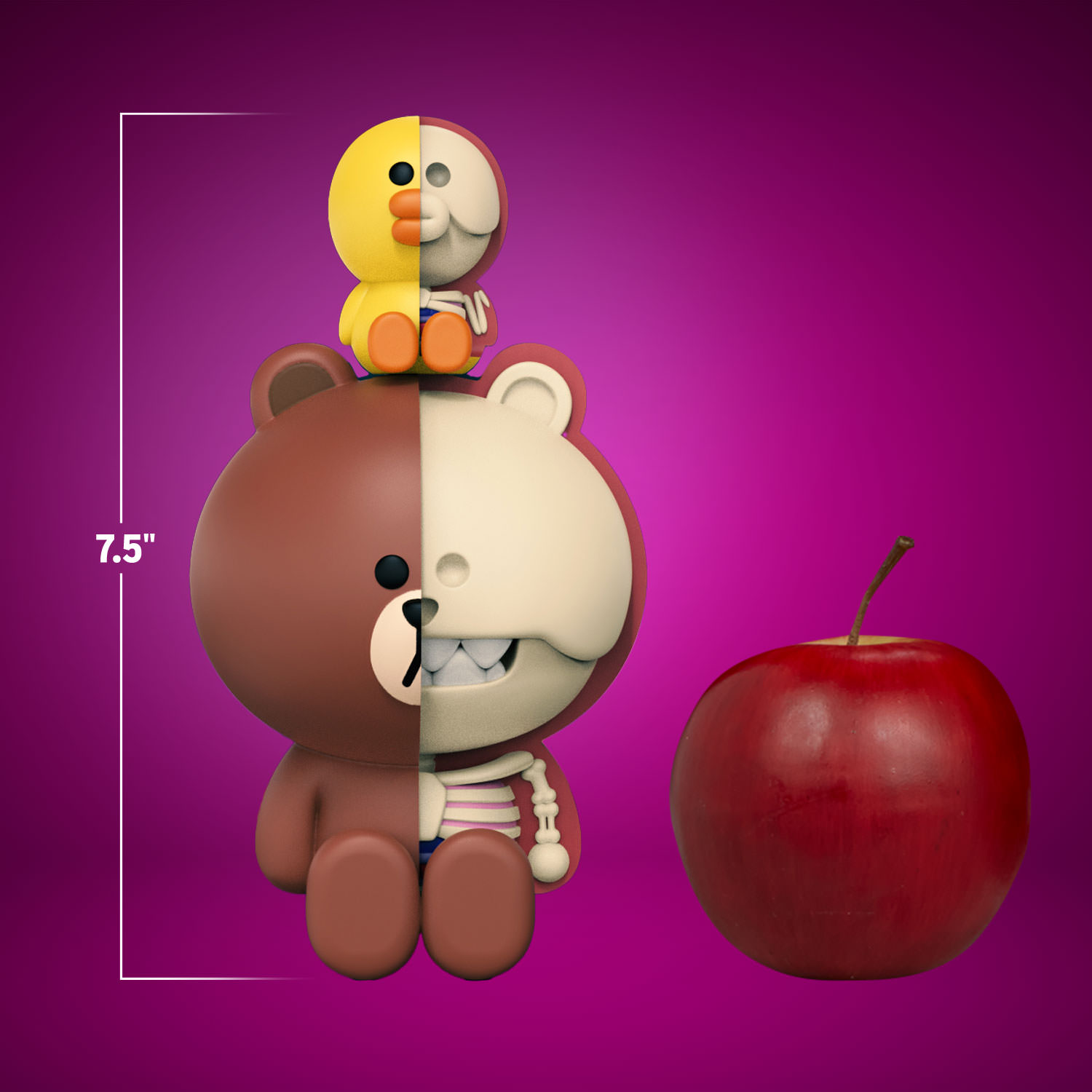 XXRAY PLUS BROWN AND SALLY