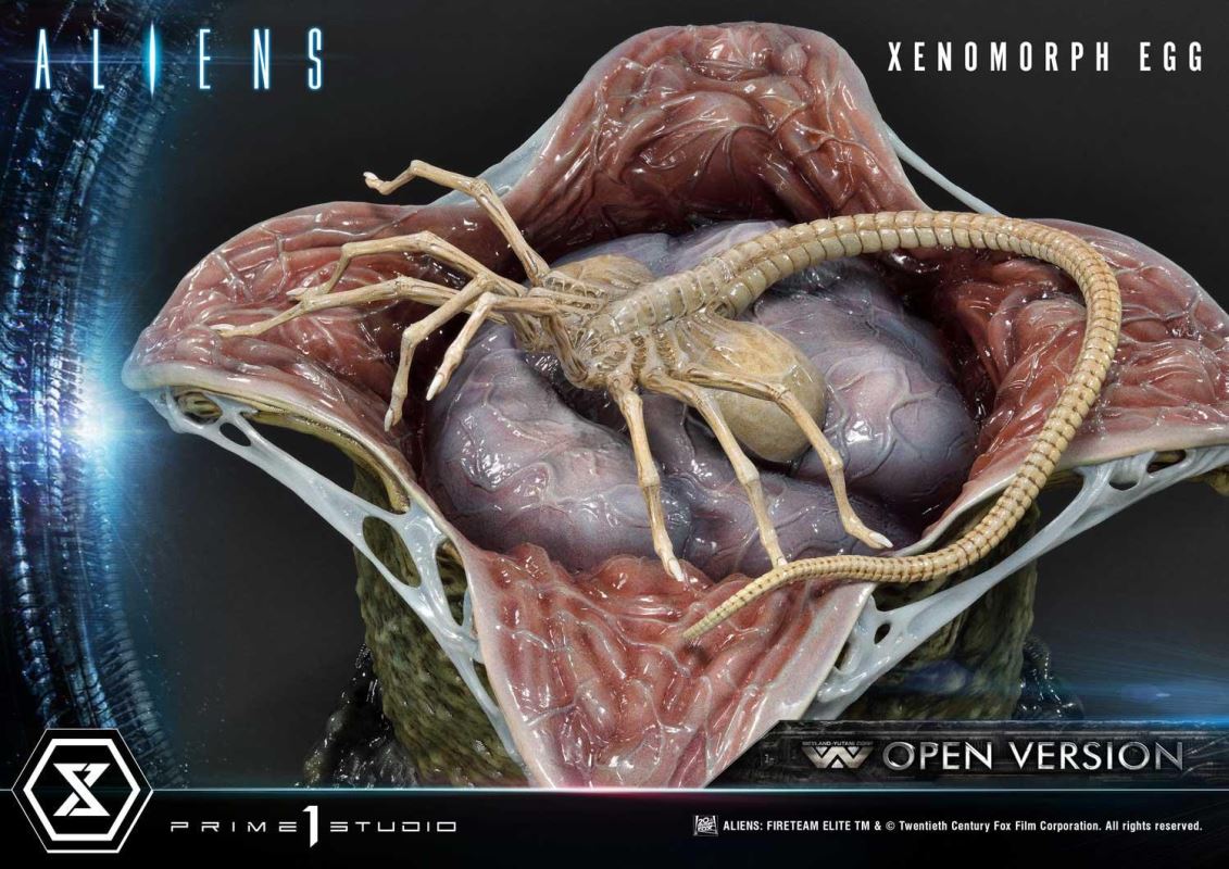 Aliens (Comics) Xenomorph Egg Open Version