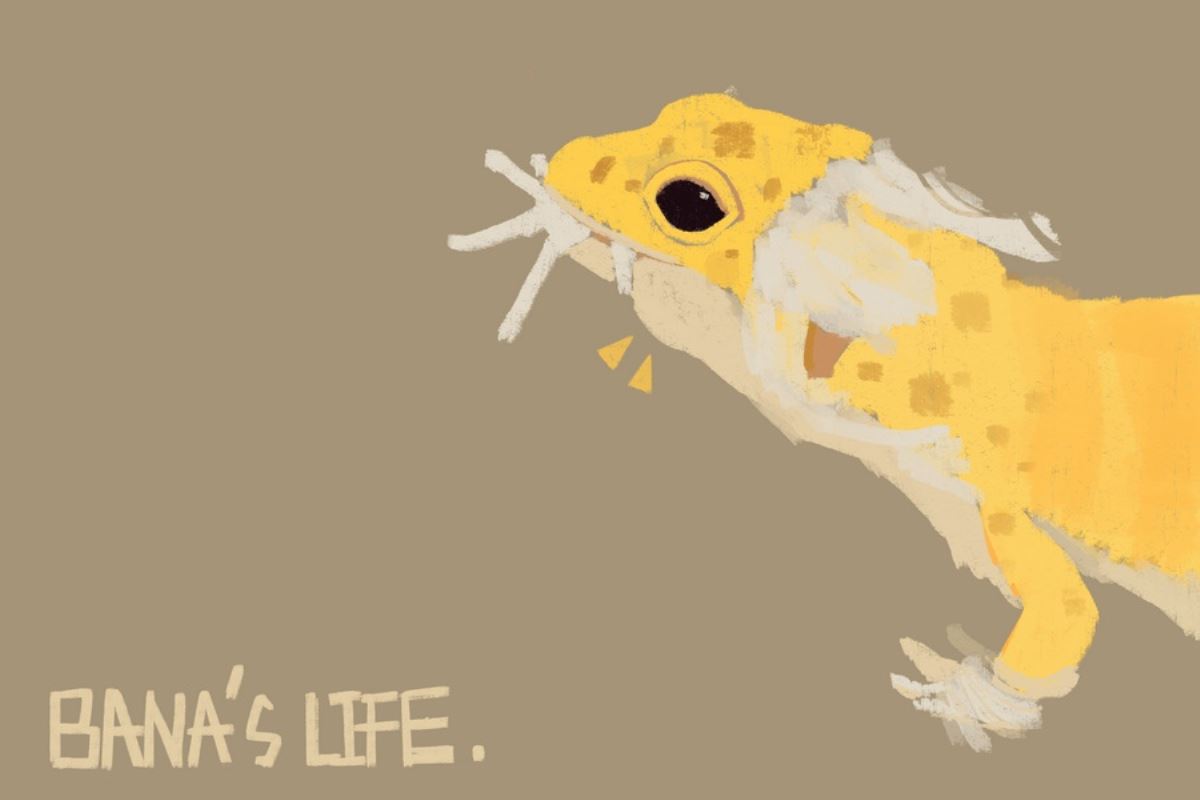 BANA's Flying Dream 1/1