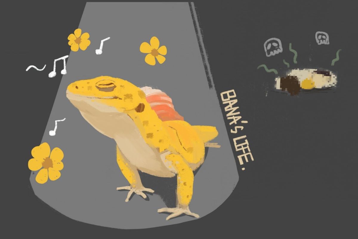 BANA's Flying Dream 1/1