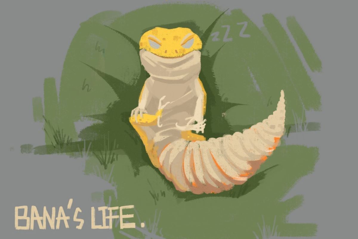 BANA's Flying Dream 1/1