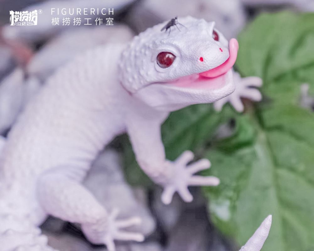 BANA's Flying Dream 1/1