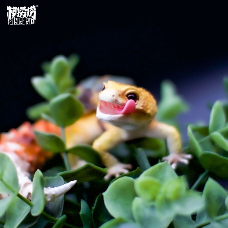 BANA's Flying Dream 1/1