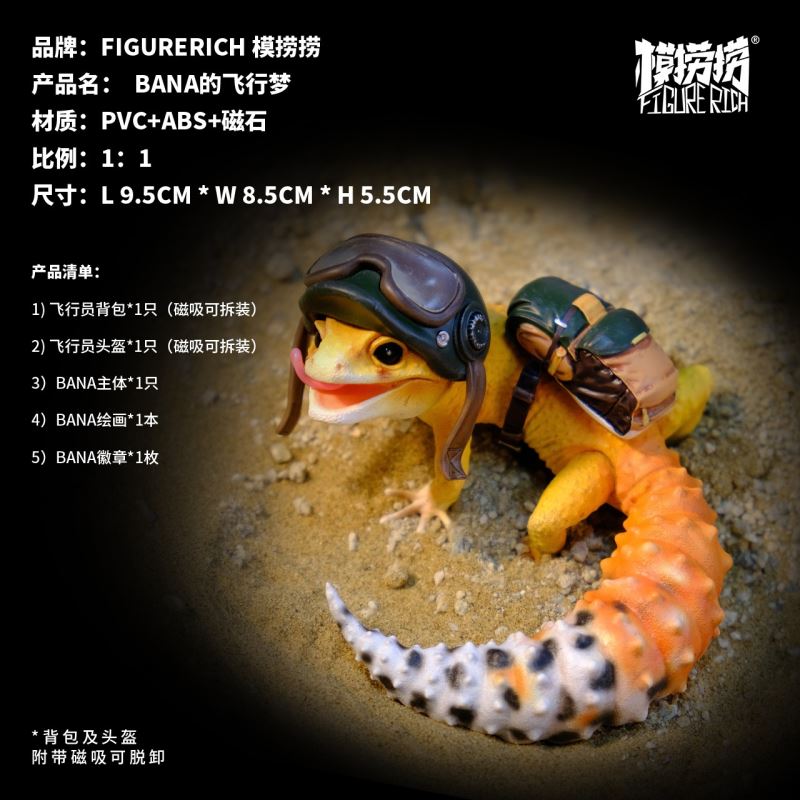 BANA's Flying Dream 1/1