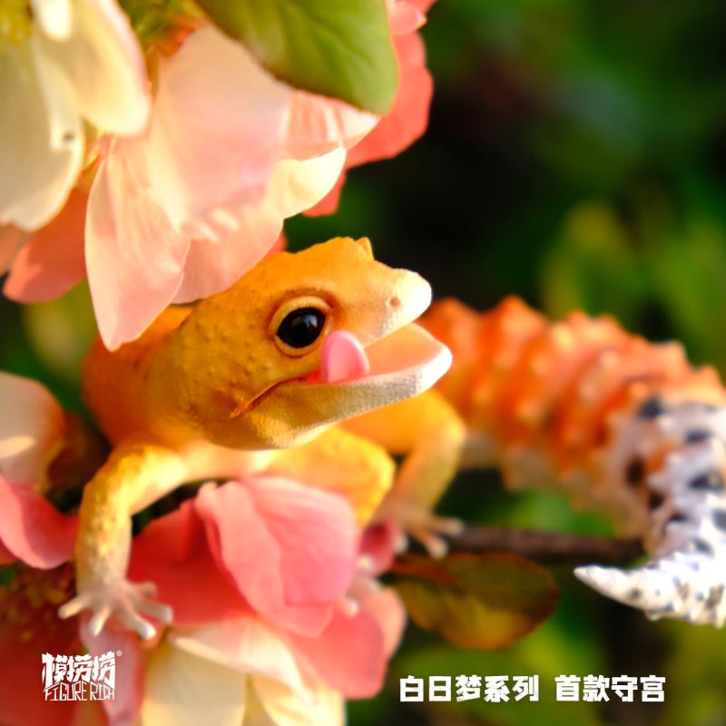 BANA's Flying Dream 1/1