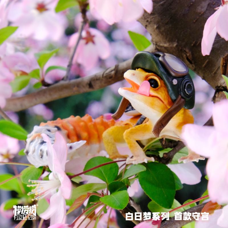 BANA's Flying Dream 1/1