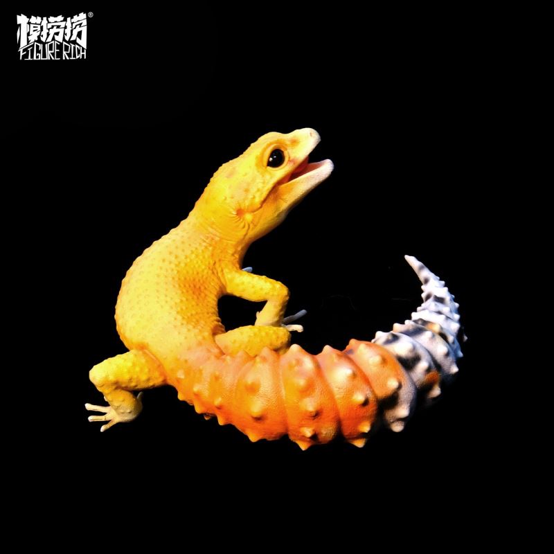 BANA's Flying Dream 1/1