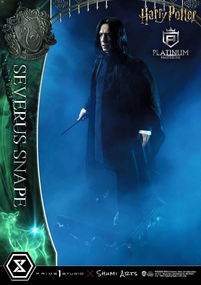 Harry Potter Severus Snape