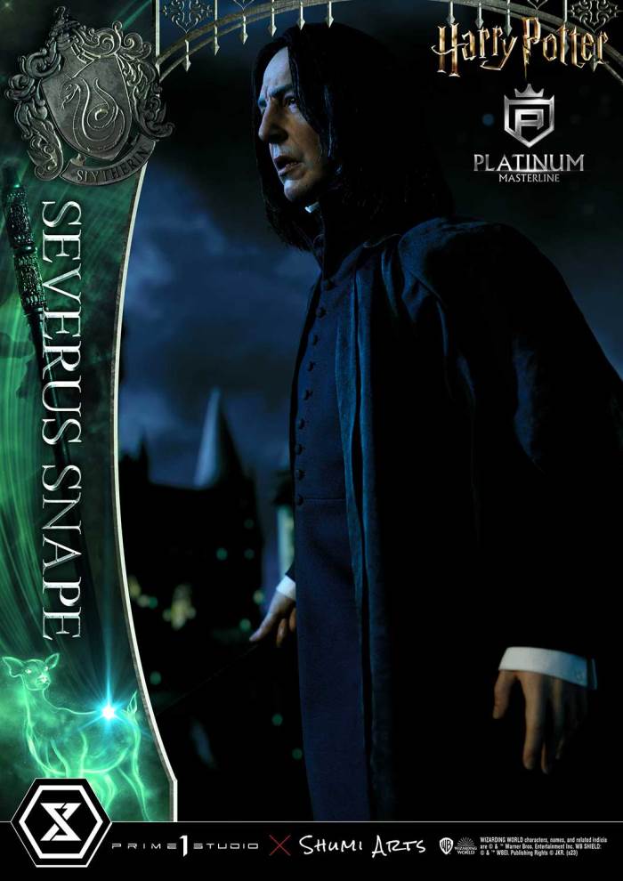 Harry Potter Severus Snape