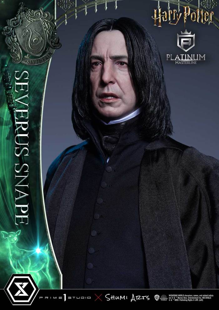 Harry Potter Severus Snape