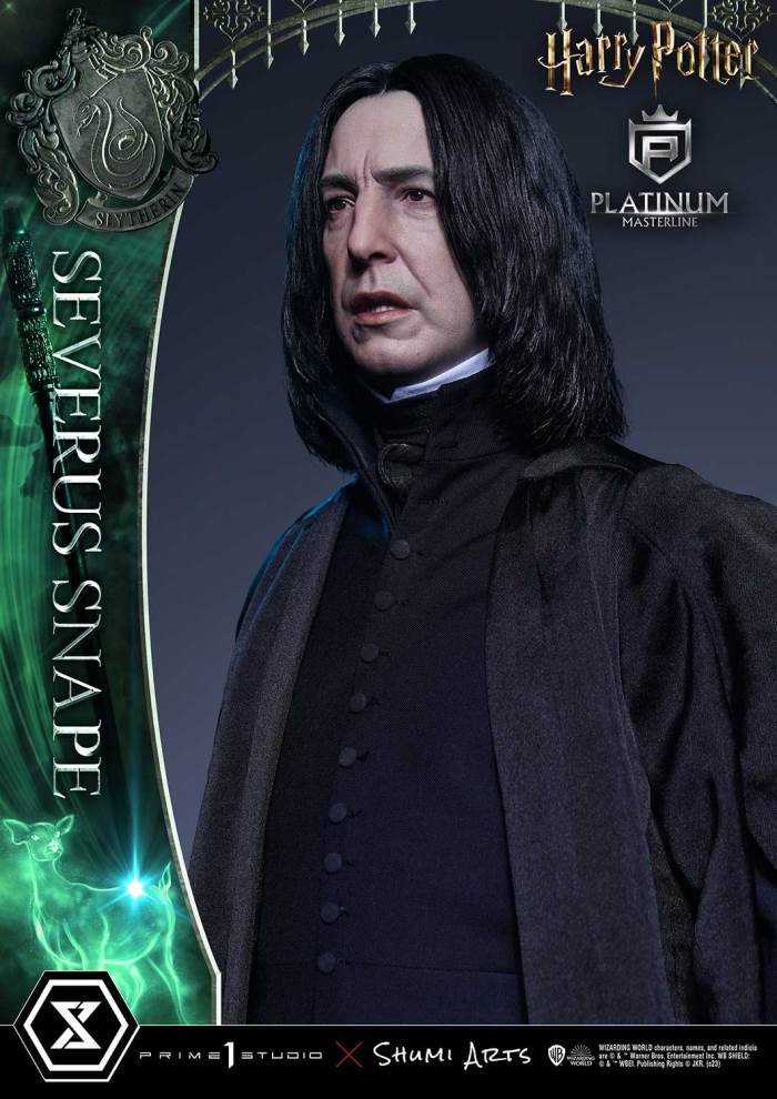 Harry Potter Severus Snape
