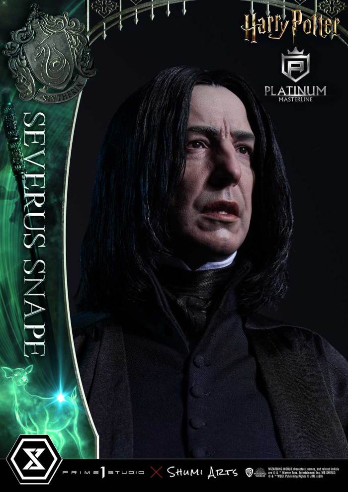 Harry Potter Severus Snape
