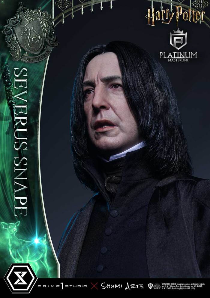 Harry Potter Severus Snape