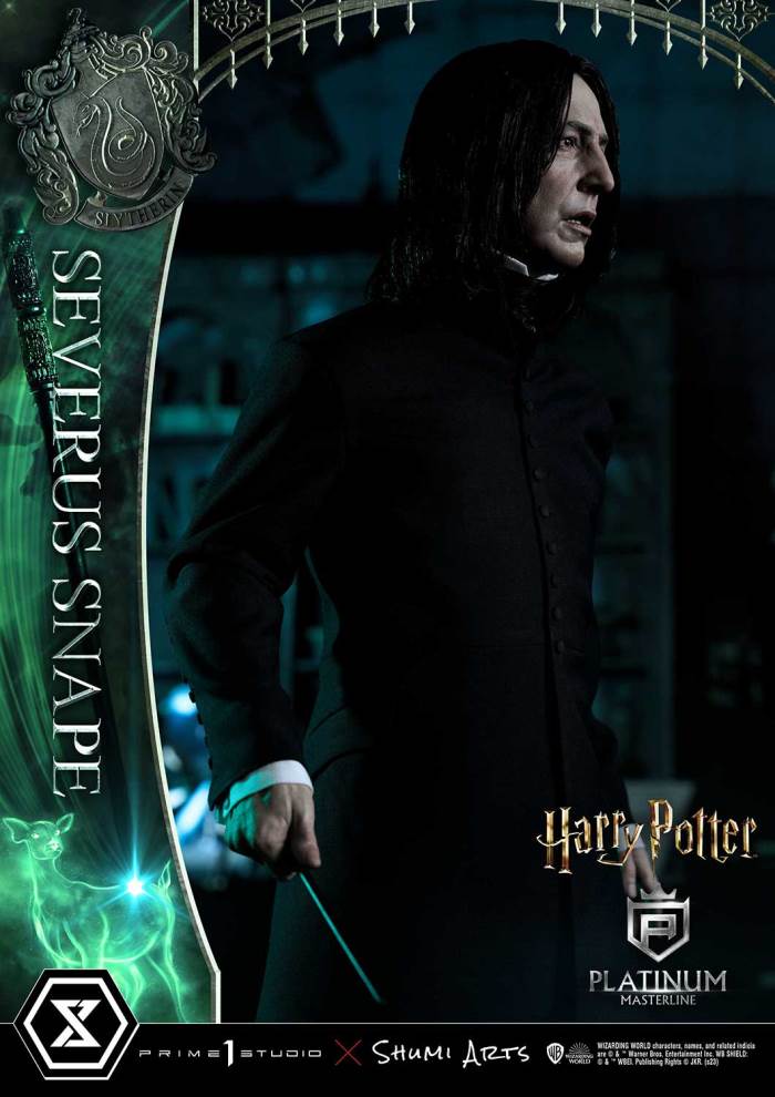 Harry Potter Severus Snape
