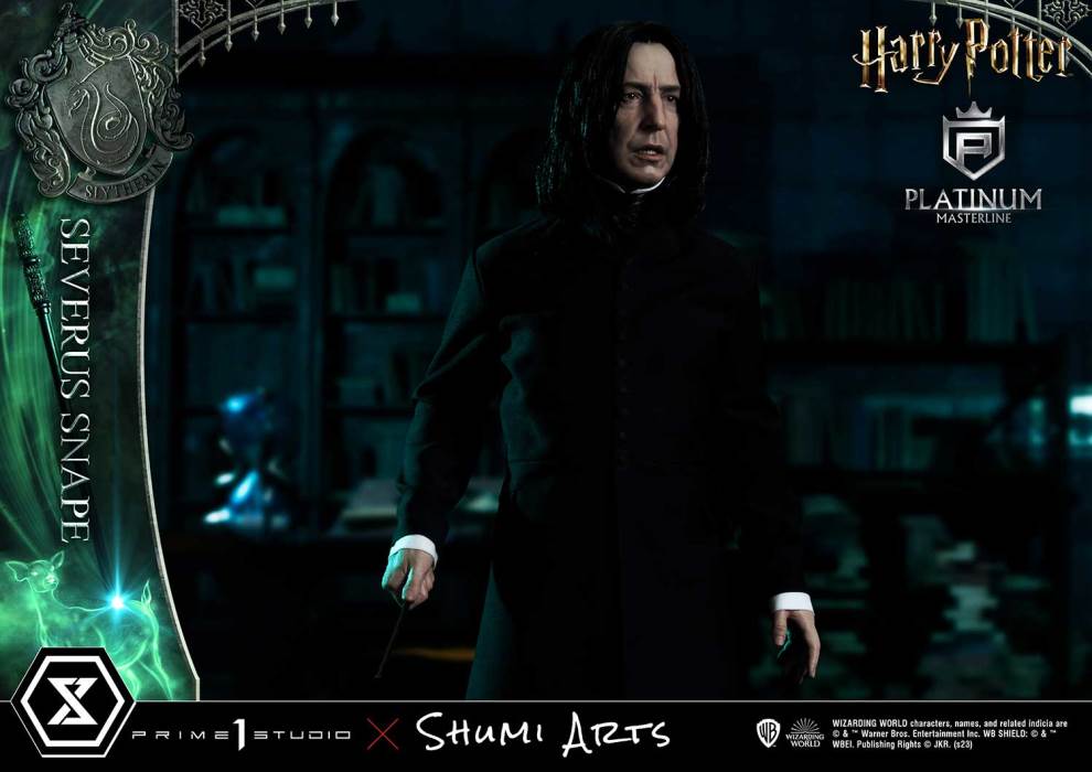 Harry Potter Severus Snape
