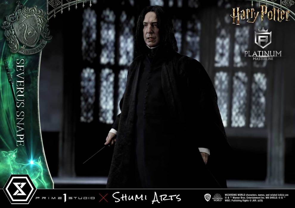 Harry Potter Severus Snape