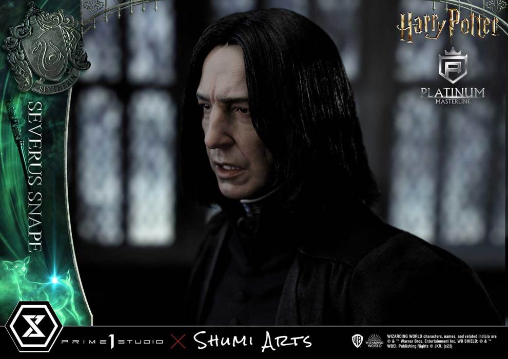 Harry Potter Severus Snape