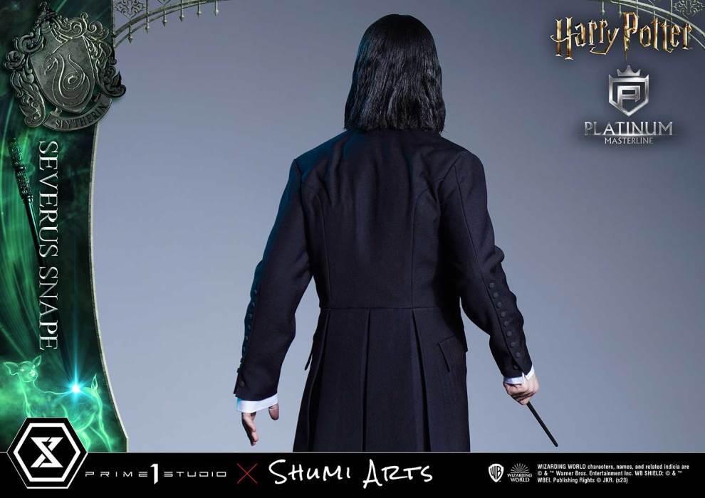 Harry Potter Severus Snape