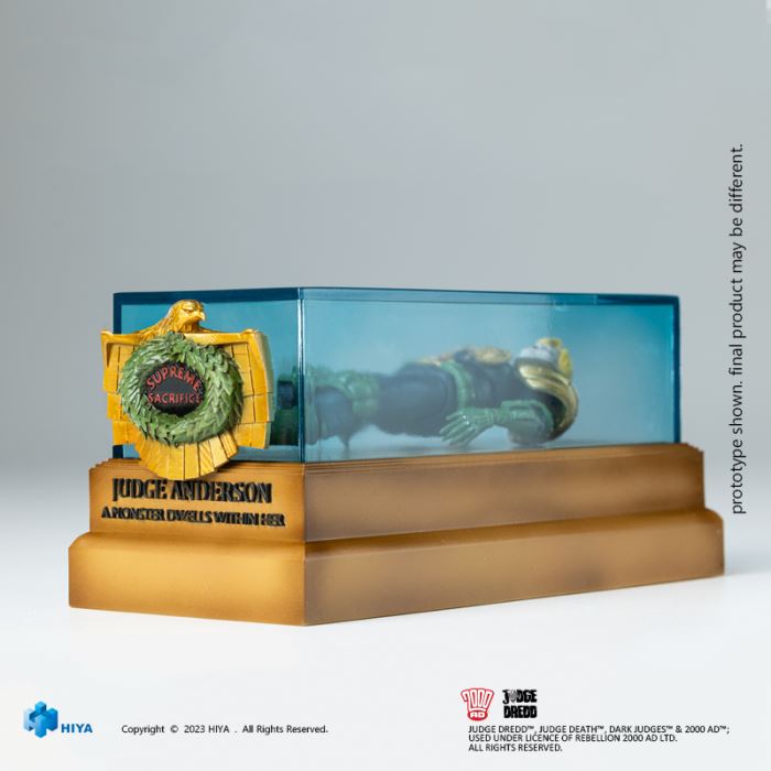 Special Police Judge - Judge Anderson 1/18