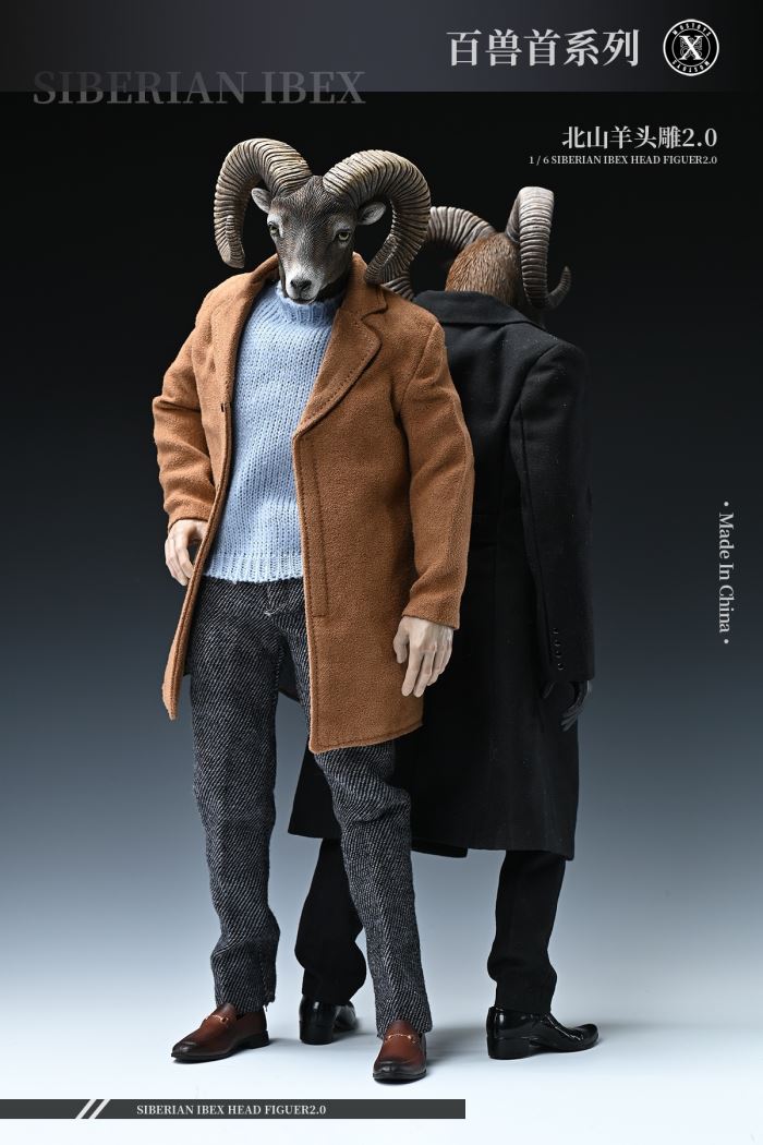Siberian Ibex Head Figuer 2.0 1/6