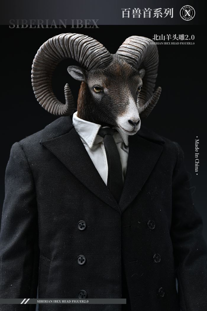 Siberian Ibex Head Figuer 2.0 1/6