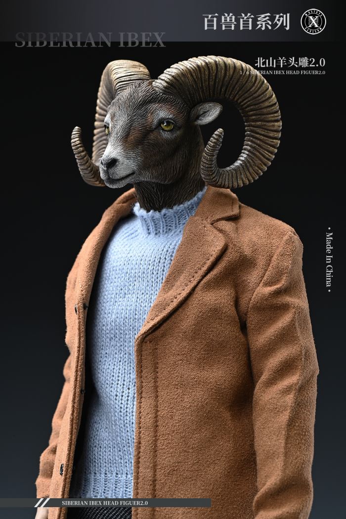 Siberian Ibex Head Figuer 2.0 1/6