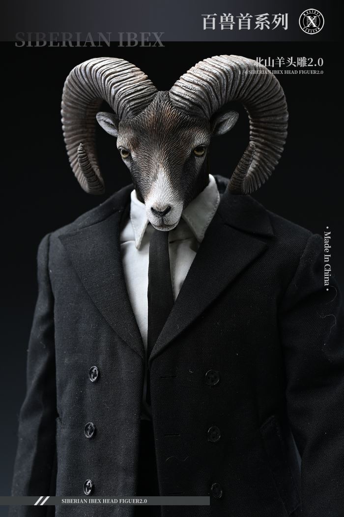 Siberian Ibex Head Figuer 2.0 1/6