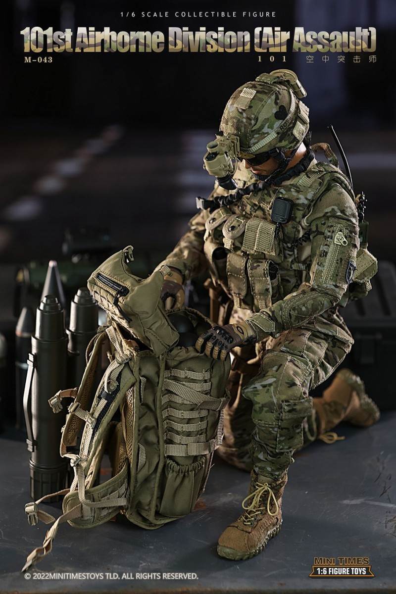 US Army 101st Air Assault Division 1/6