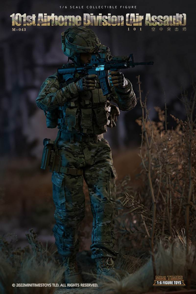 US Army 101st Air Assault Division 1/6