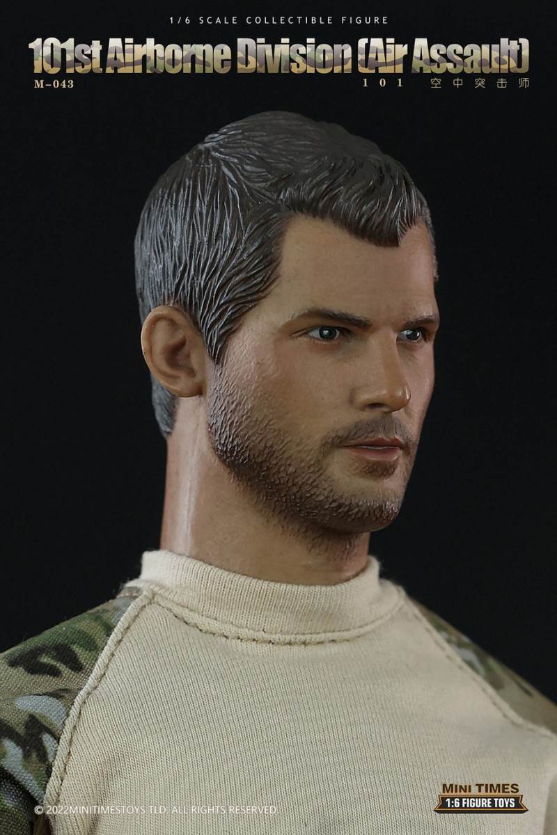 US Army 101st Air Assault Division 1/6