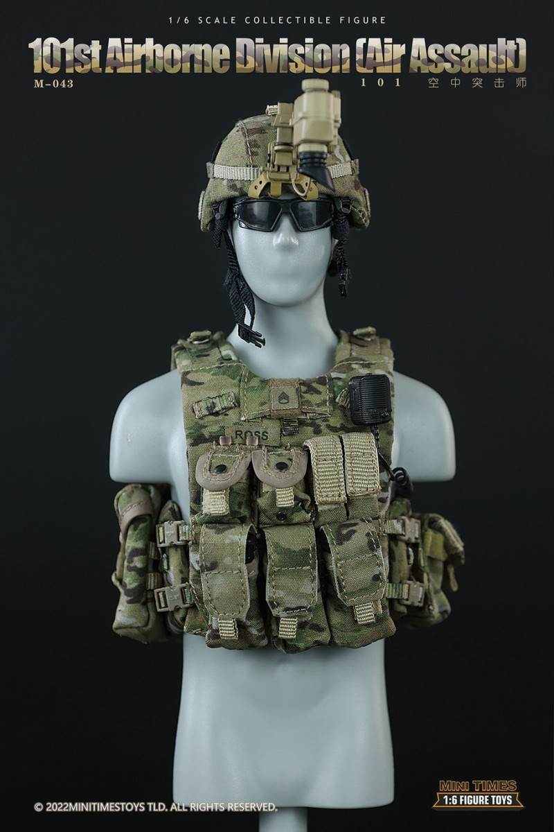 US Army 101st Air Assault Division 1/6