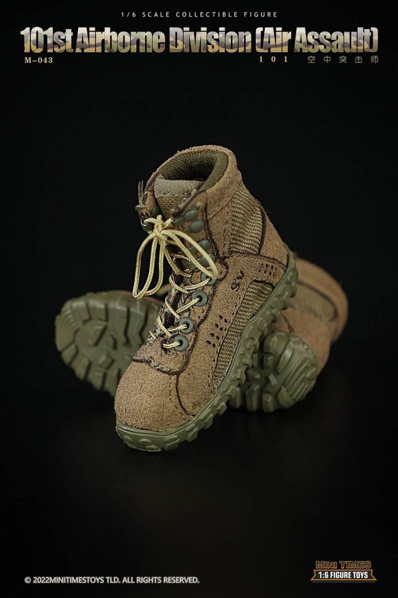 US Army 101st Air Assault Division 1/6