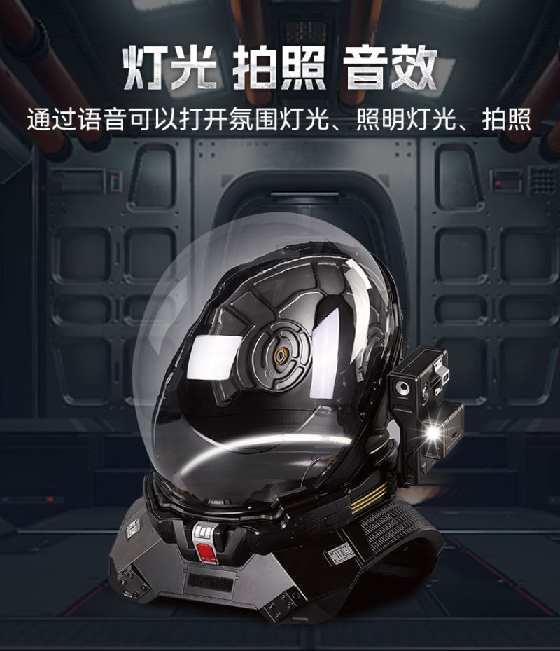 The Wandering Earth Wearable Collection Series 1/1