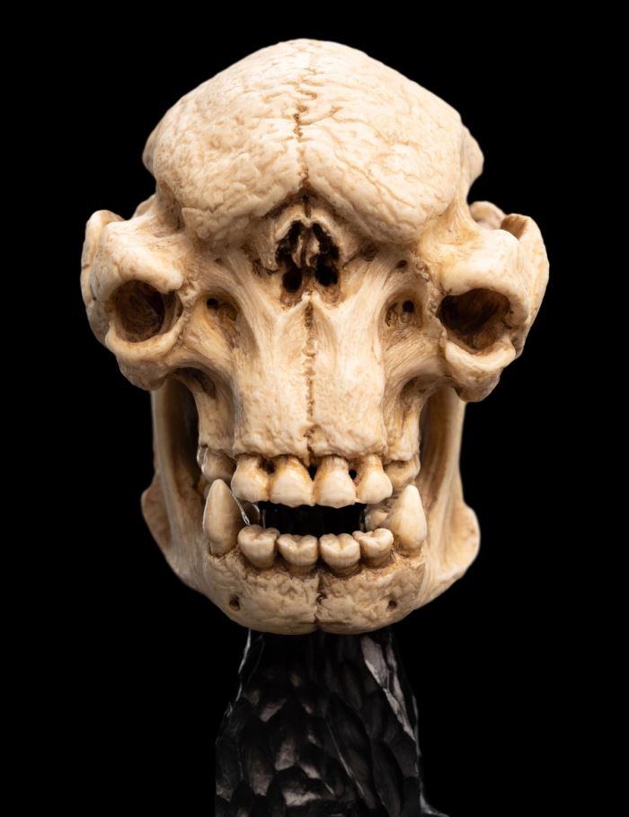 SKULL OF A CAVE TROLL Miniature Skull