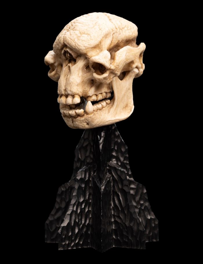 SKULL OF A CAVE TROLL Miniature Skull