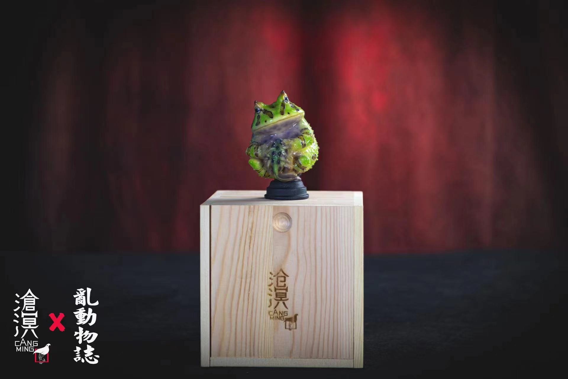 Horned Frogs & Tadpoles