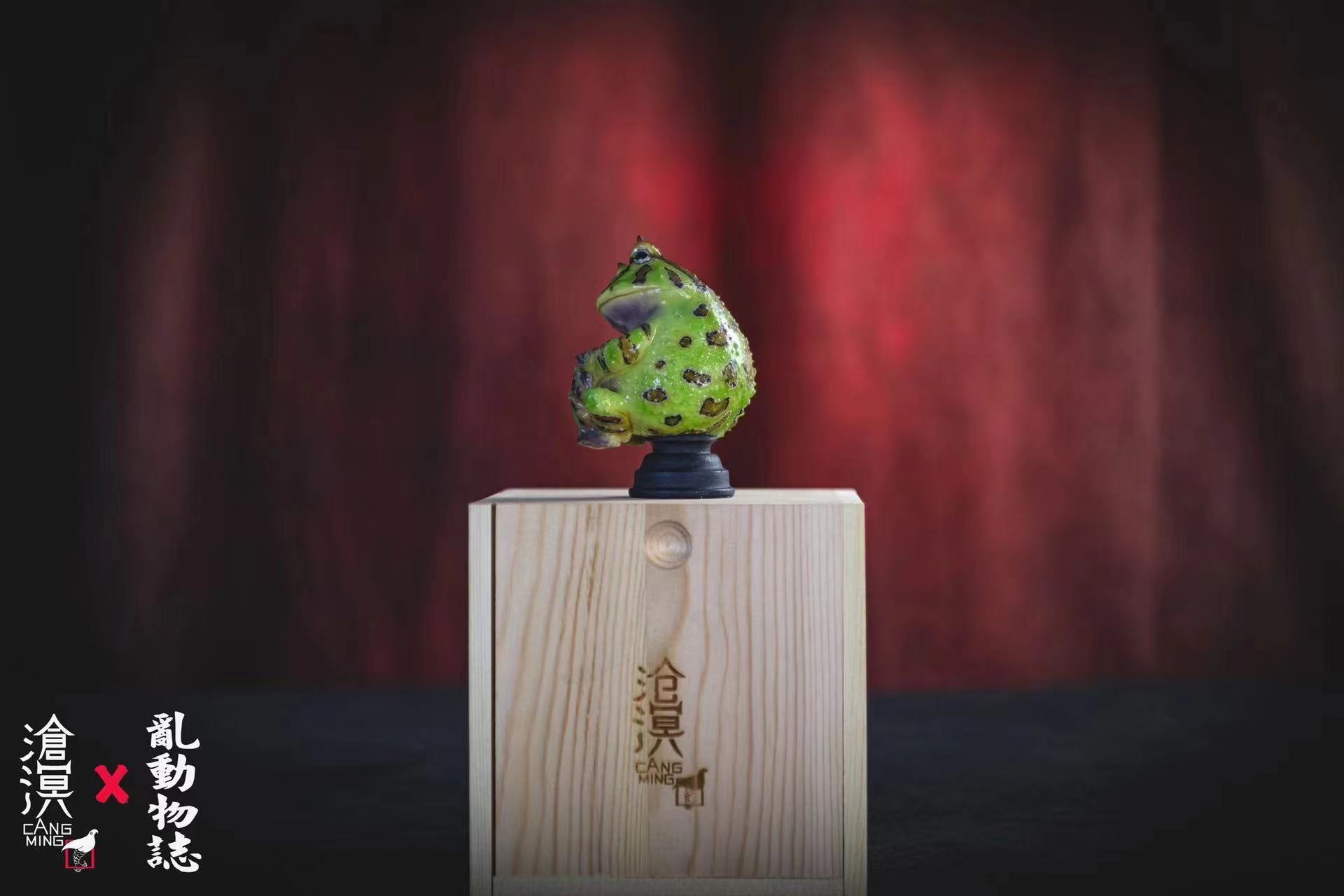 Horned Frogs & Tadpoles