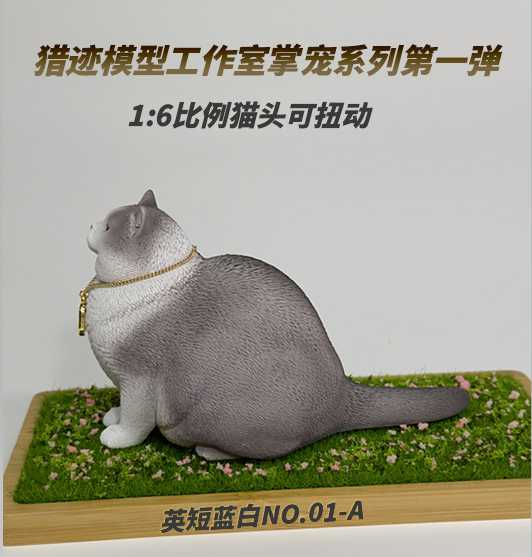 British Shorthair Blue and White Cat 1/6