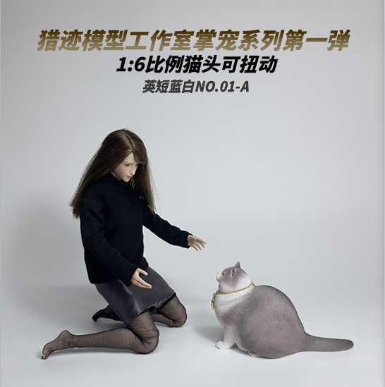 British Shorthair Blue and White Cat 1/6