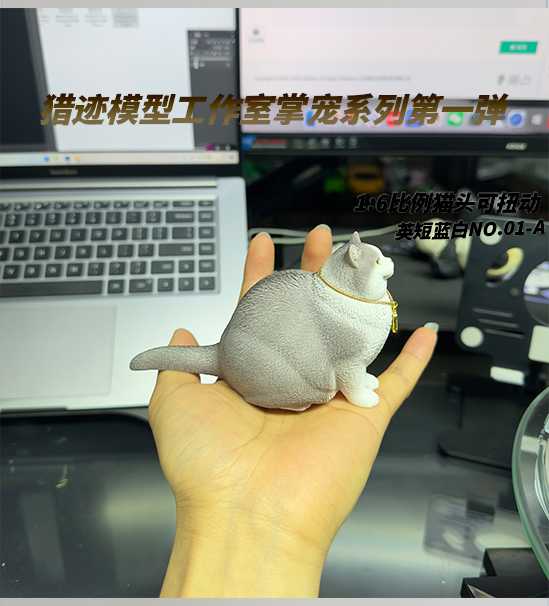 British Shorthair Blue and White Cat 1/6