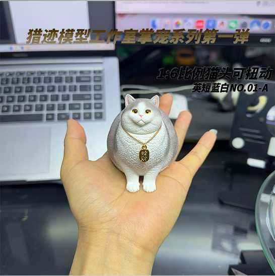 British Shorthair Blue and White Cat 1/6