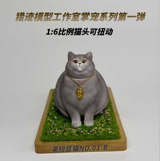 British Shorthair Blue and White Cat 1/6