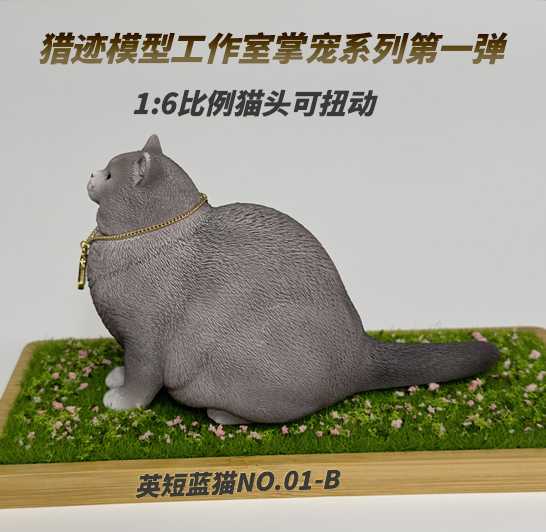 British Shorthair Blue and White Cat 1/6