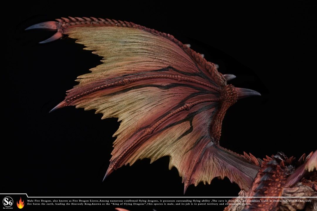 Monster Hunter Fire Dragon