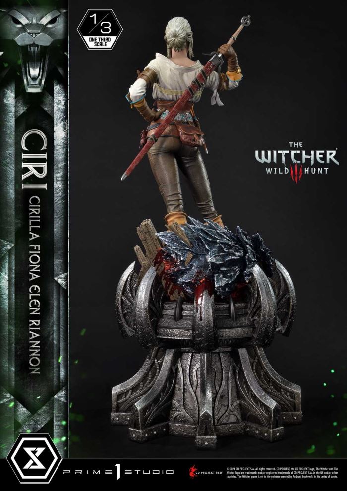 The Witcher 3: Wild Hunt Ciri Fiona Elen Riannon